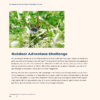 The Happiness Quest: Playful Challenges for Kids - Image 2